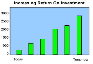 Website ROI; Internet Success